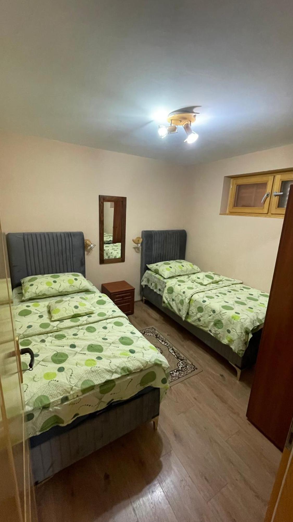 Eko Apartmani Backi Petrovac Eksteriør billede